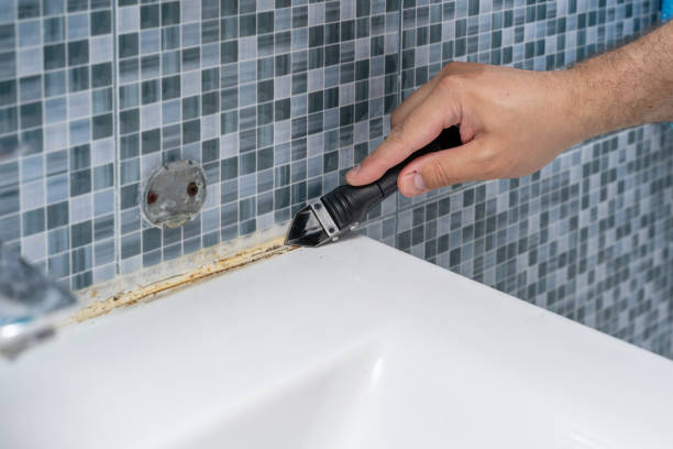Best Attic Mold Removal  in Hazen, ND