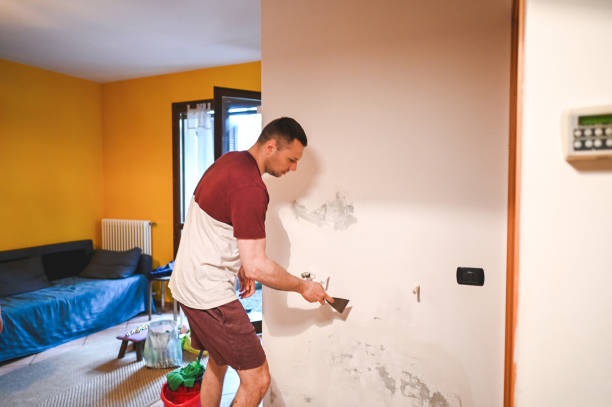Hazen, ND Mold Removal Company