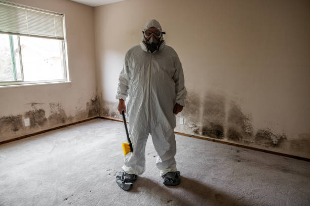 Best Mold Testing  in Hazen, ND